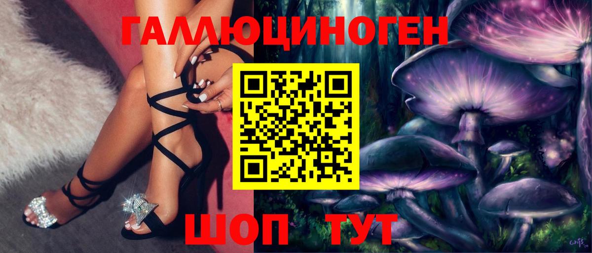 Зеленогорск  Псилоцибиновые грибы MAGIC MUSHROOMS  Галлюциногенные грибы Magic Shrooms  Вход с VPN 